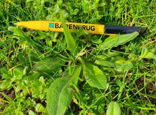 Reconnaître les mauvaises herbes dans le jardin | Barenbrug
