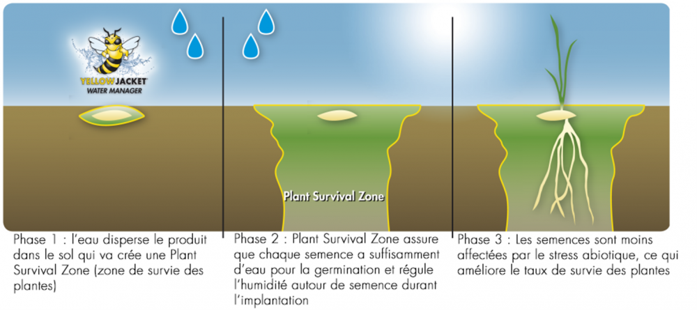 La Plant Survival Zone régule l’humidité autour de la semence