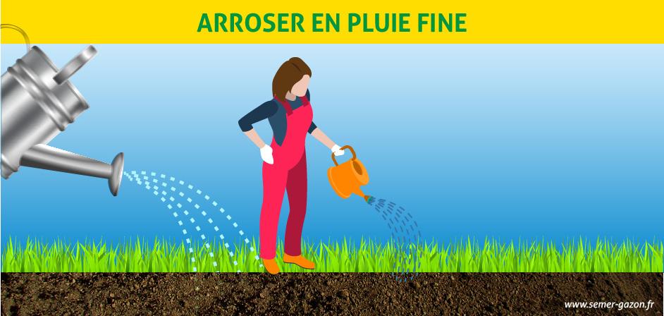 Travailleur De Jardin Avec Semis De Graines D'herbe De Pelouse Avec Une  épandeur De Pelouse Goutte Dans La Cour Arrière Résidentie Photo stock -  Image du cordon, jardinier: 217507810