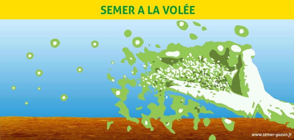 Semer du gazon en novembre? Oui c'est possible! - Mjardiner