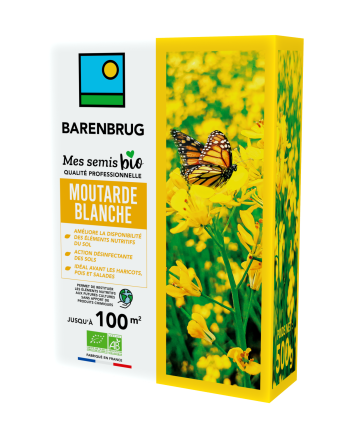Moutarde Blanche